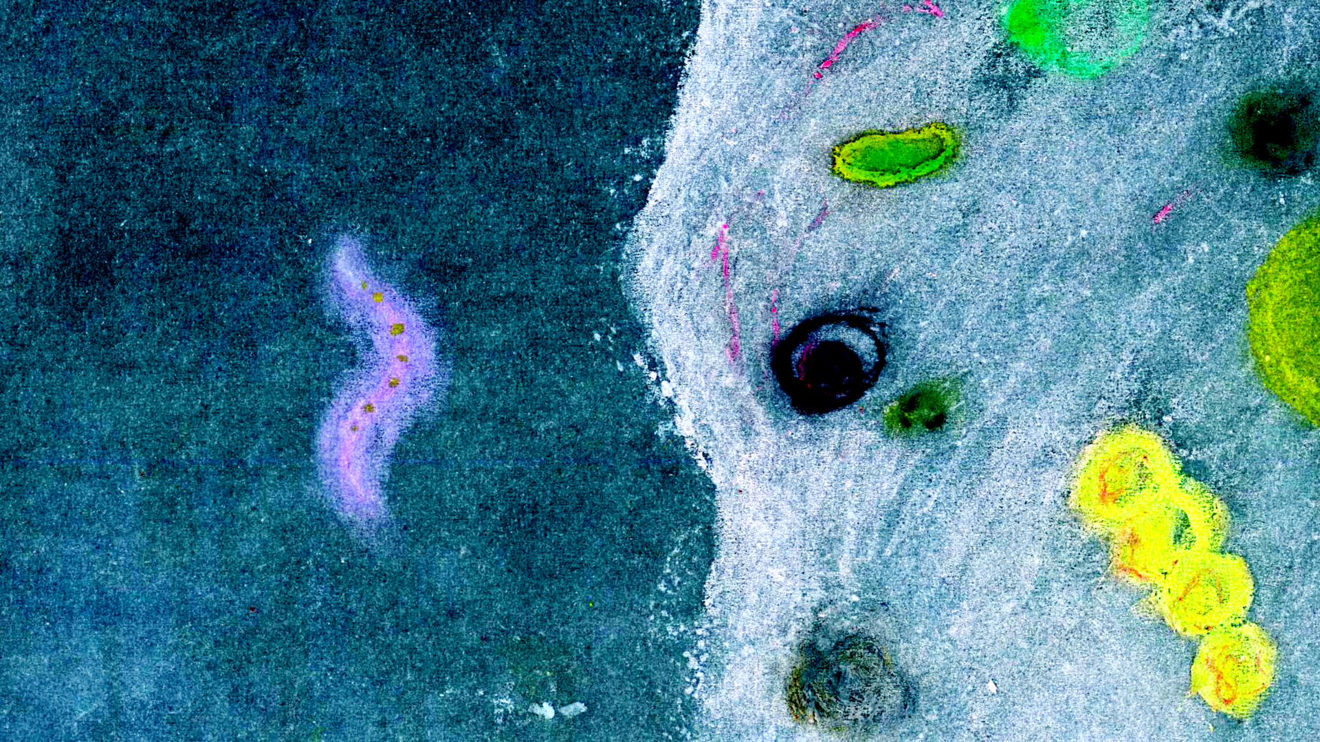 プランクトン α